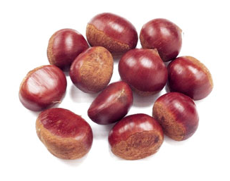 SHELL CHESTNUTS.png